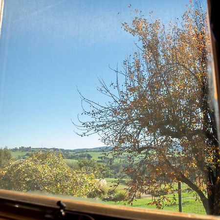 Vivere Retreat Neerim South Buitenkant foto
