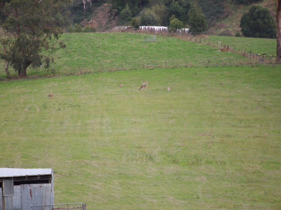 Vivere Retreat Neerim South Buitenkant foto
