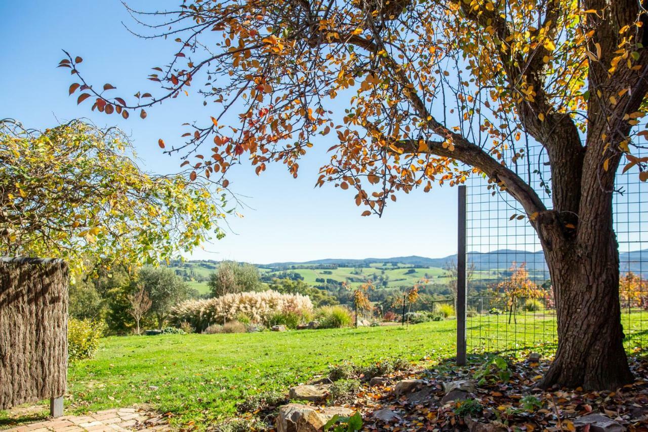 Vivere Retreat Neerim South Buitenkant foto